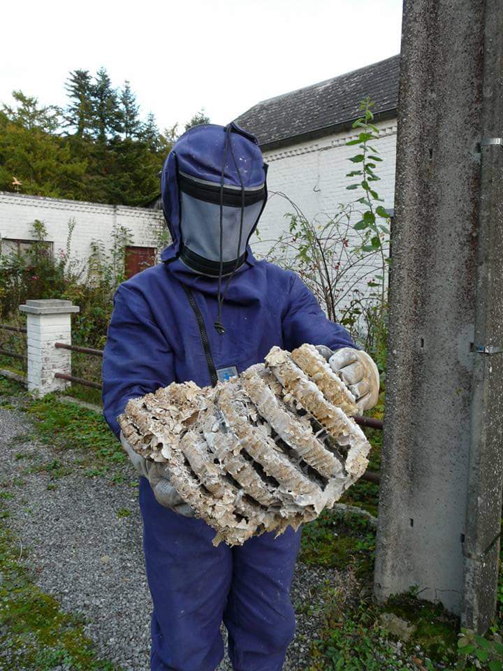 retrait de nid à freon